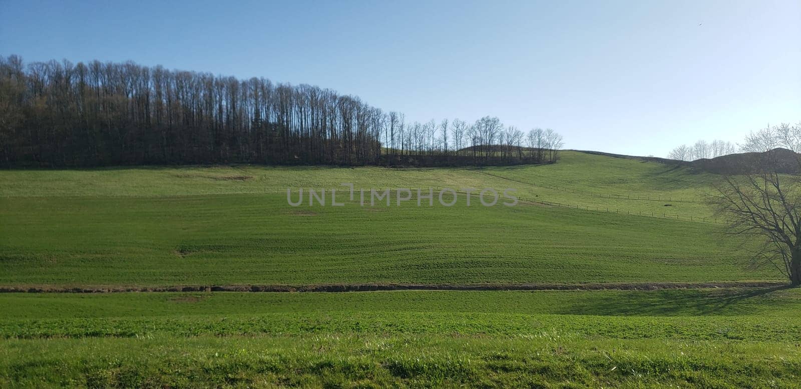 View of Rolling Green Hills and Blue Skies in Early Spring, Ohio