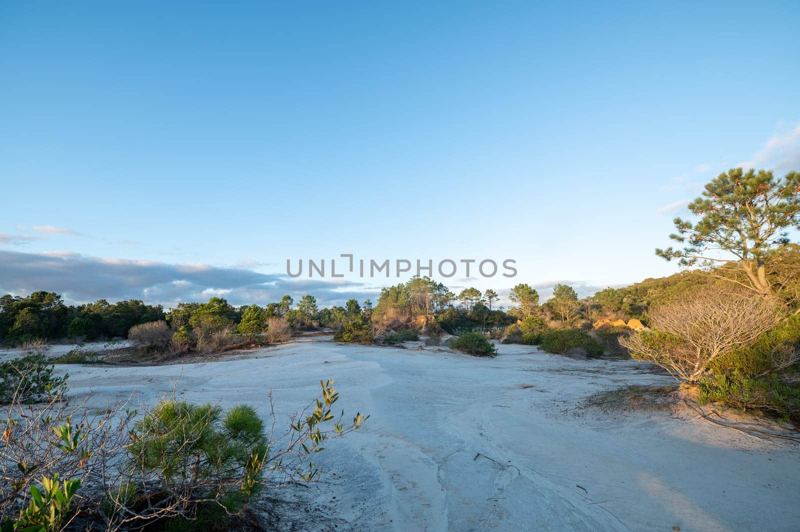 Cárcavas in the Valley of the Moon of La Pedrera in the Department of Rocha in Uruguay. by martinscphoto