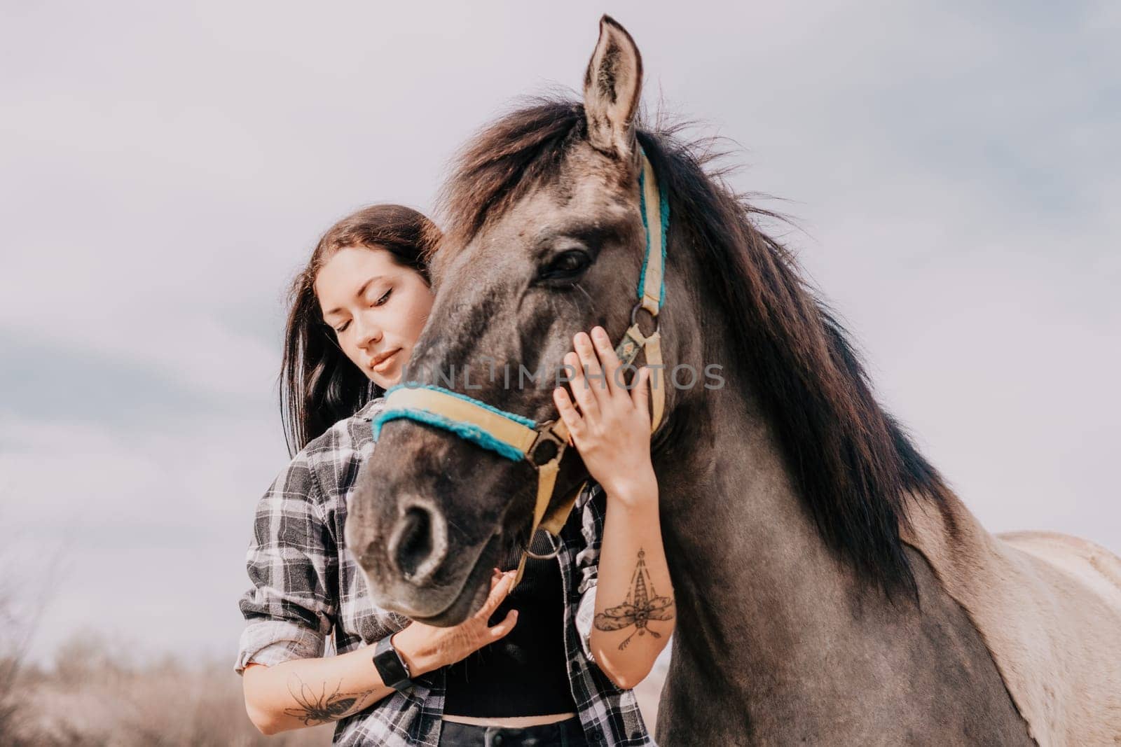 Cute happy young woman with horse. Rider female drives her horse in nature on evening sunset light background. Concept of outdoor riding, sports and recreation.