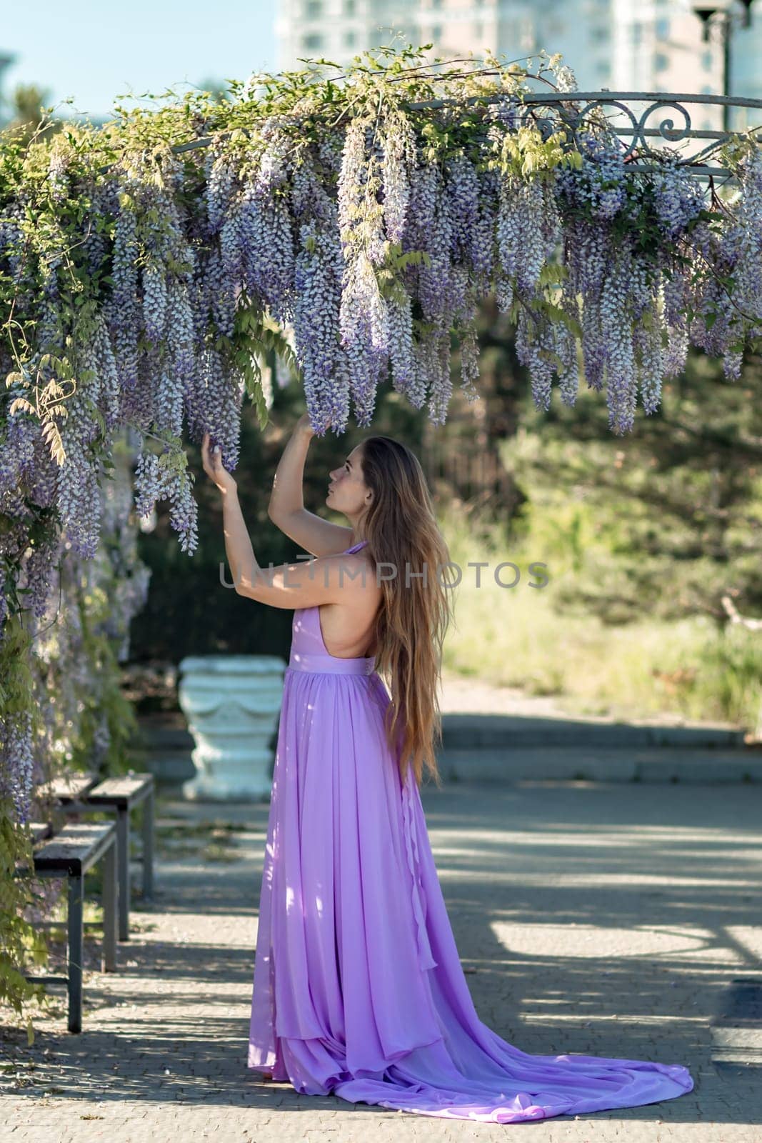 Woman wisteria lilac dress. Thoughtful happy mature woman in purple dress surrounded by chinese wisteria by Matiunina