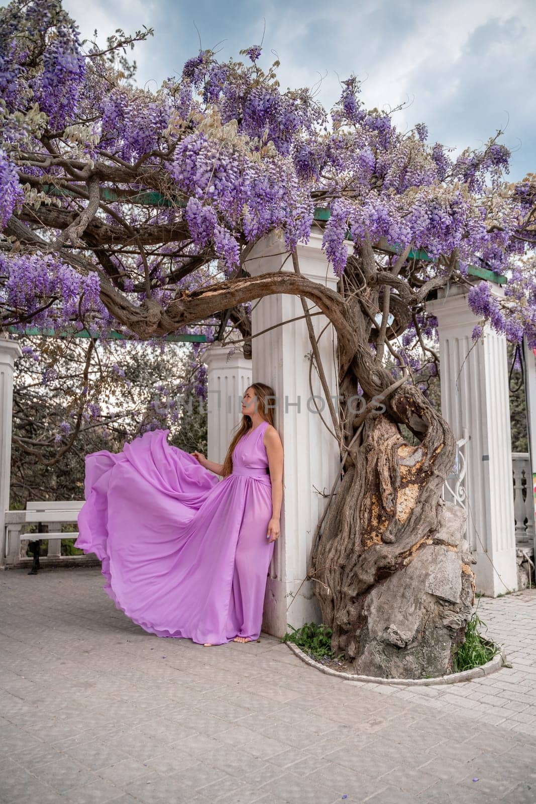 Woman wisteria purple dress. Thoughtful happy mature woman in purple dress surrounded by chinese wisteria by Matiunina