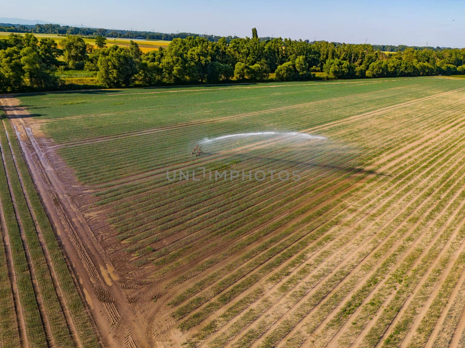 Aerial view of sprinkler irrigation system on a field in hot summer, Germany