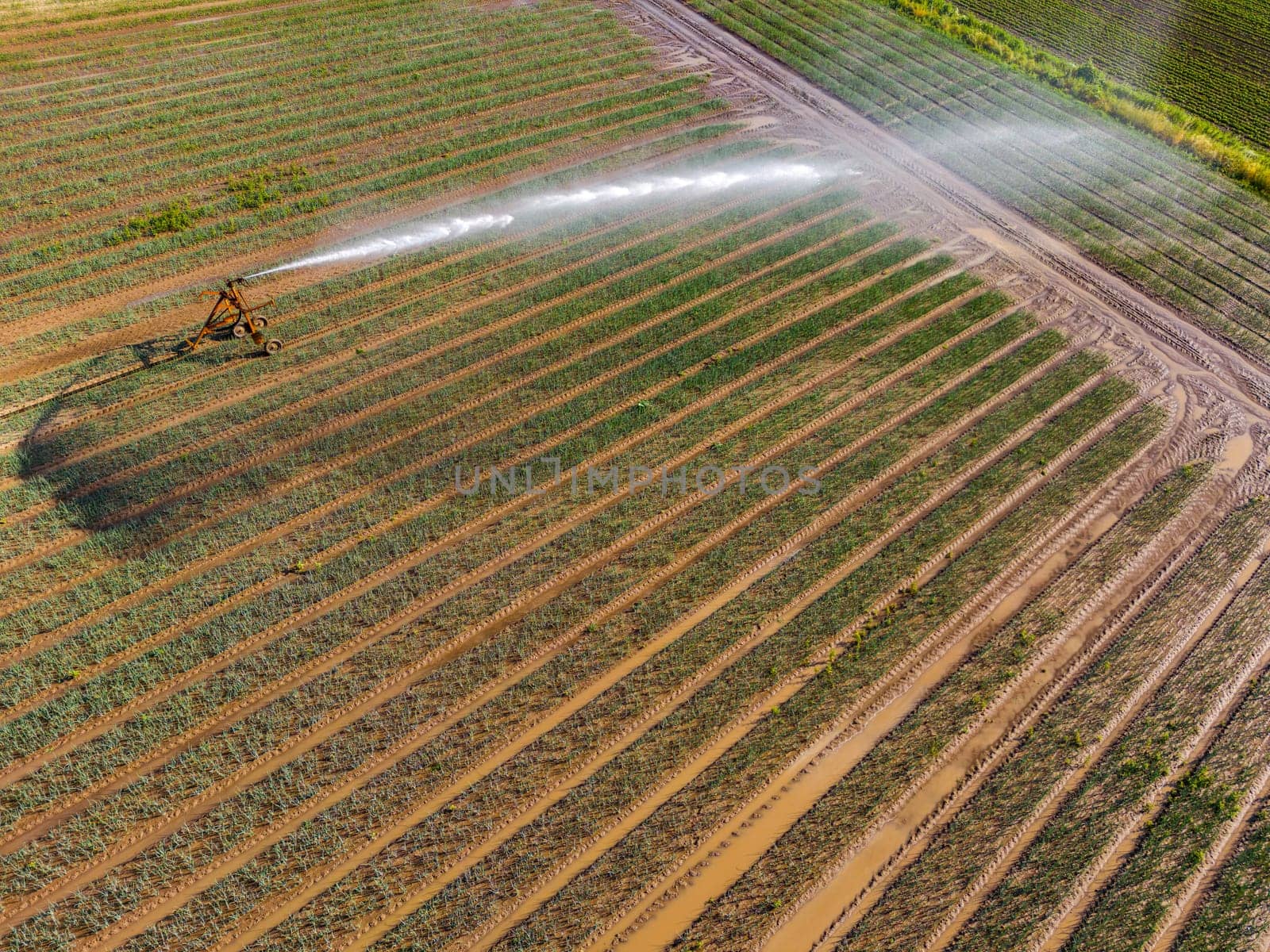 Field irrigation with mobile equipment in the drought of summer, aerial view, Germany
