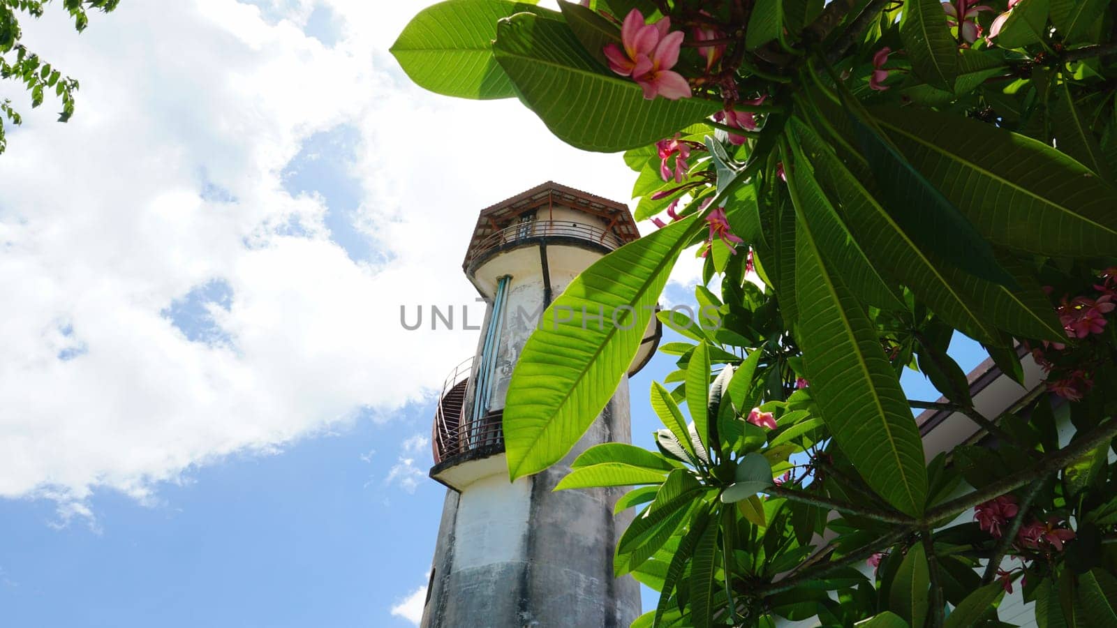 View through the leaves of a tree on water tower by Passcal