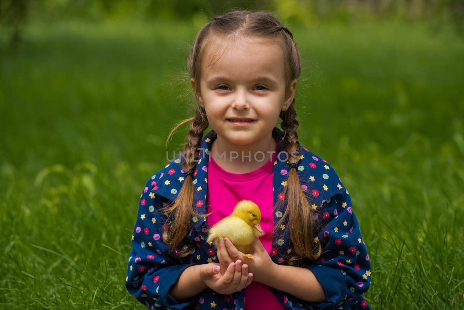 Little girl holding small duckling in the garden. Yellow duckling in her hands.