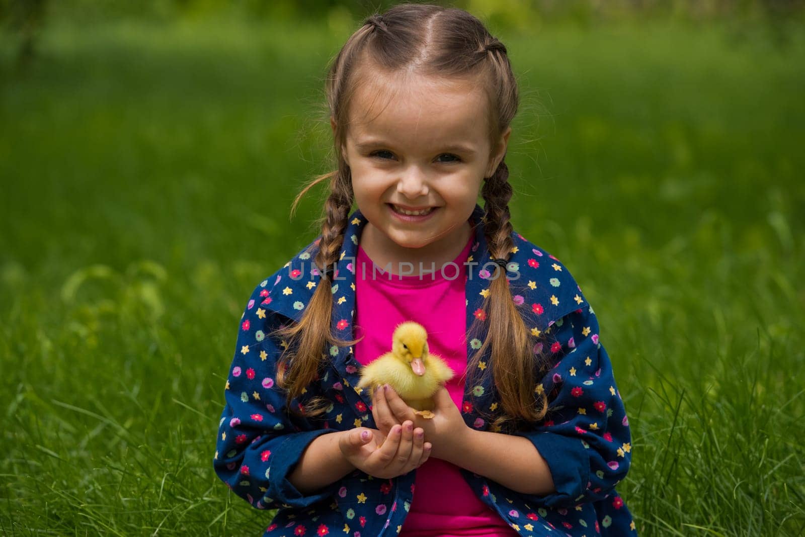 Little girl holding small duckling in the garden. Yellow duckling in her hands. by leonik