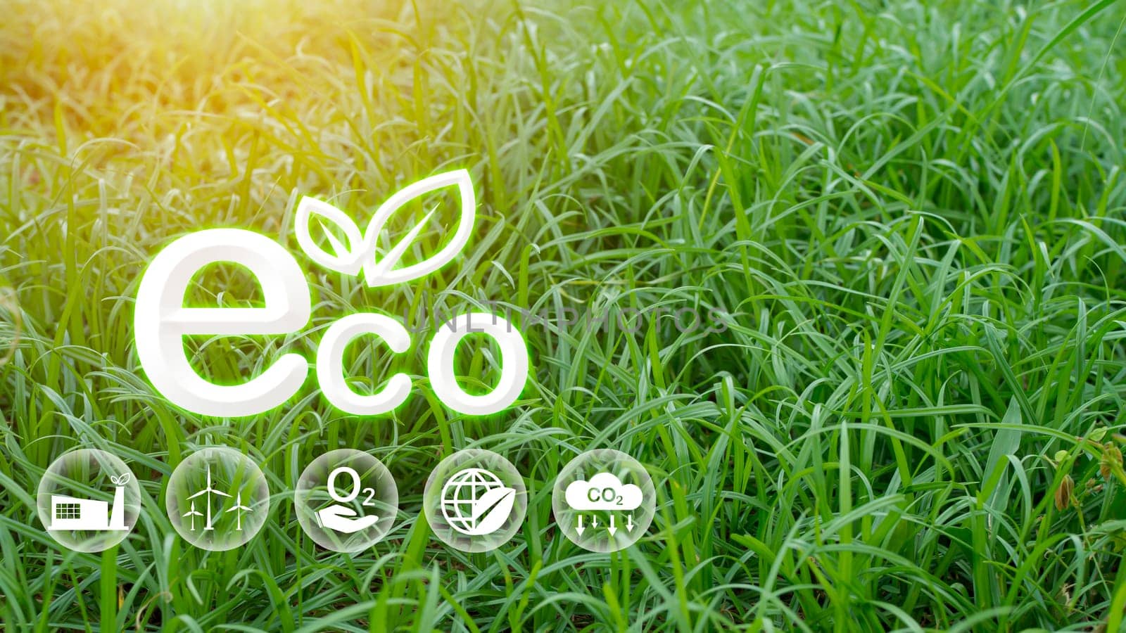 Eco concept for environment, society and governance in sustainable. business responsible environmental.