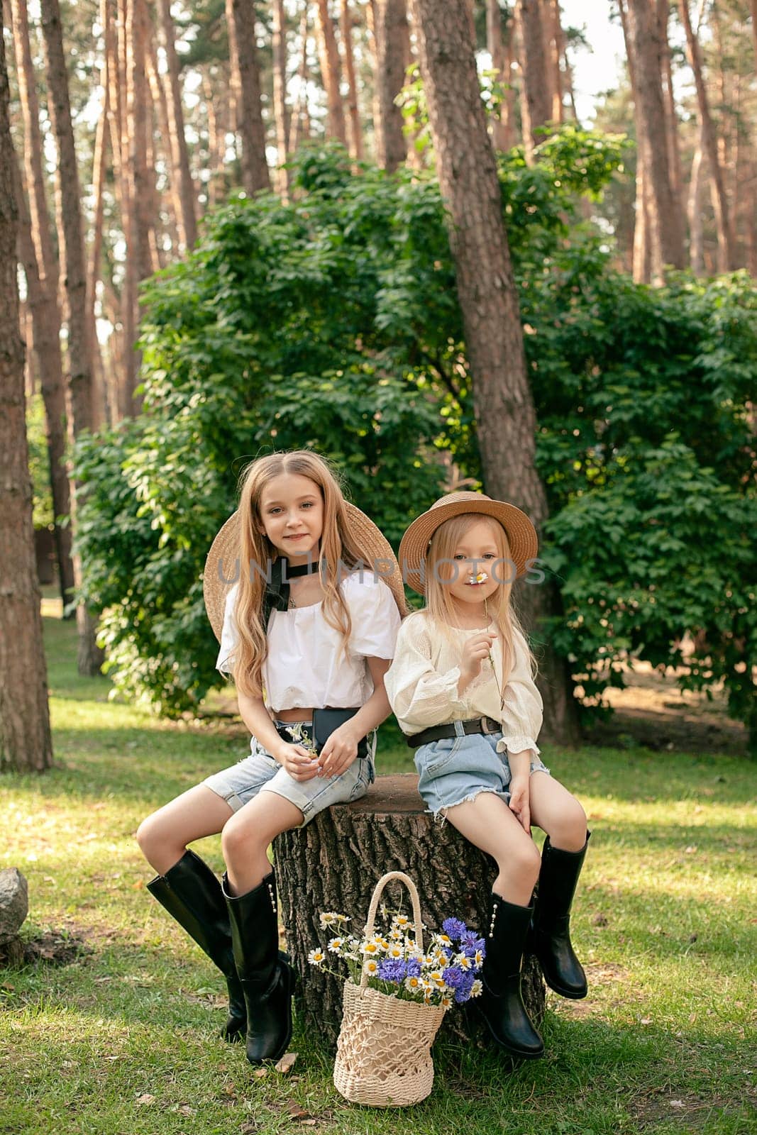 Two cheerful preteen girls sitting on stump among tall trees in summer forest by nazarovsergey