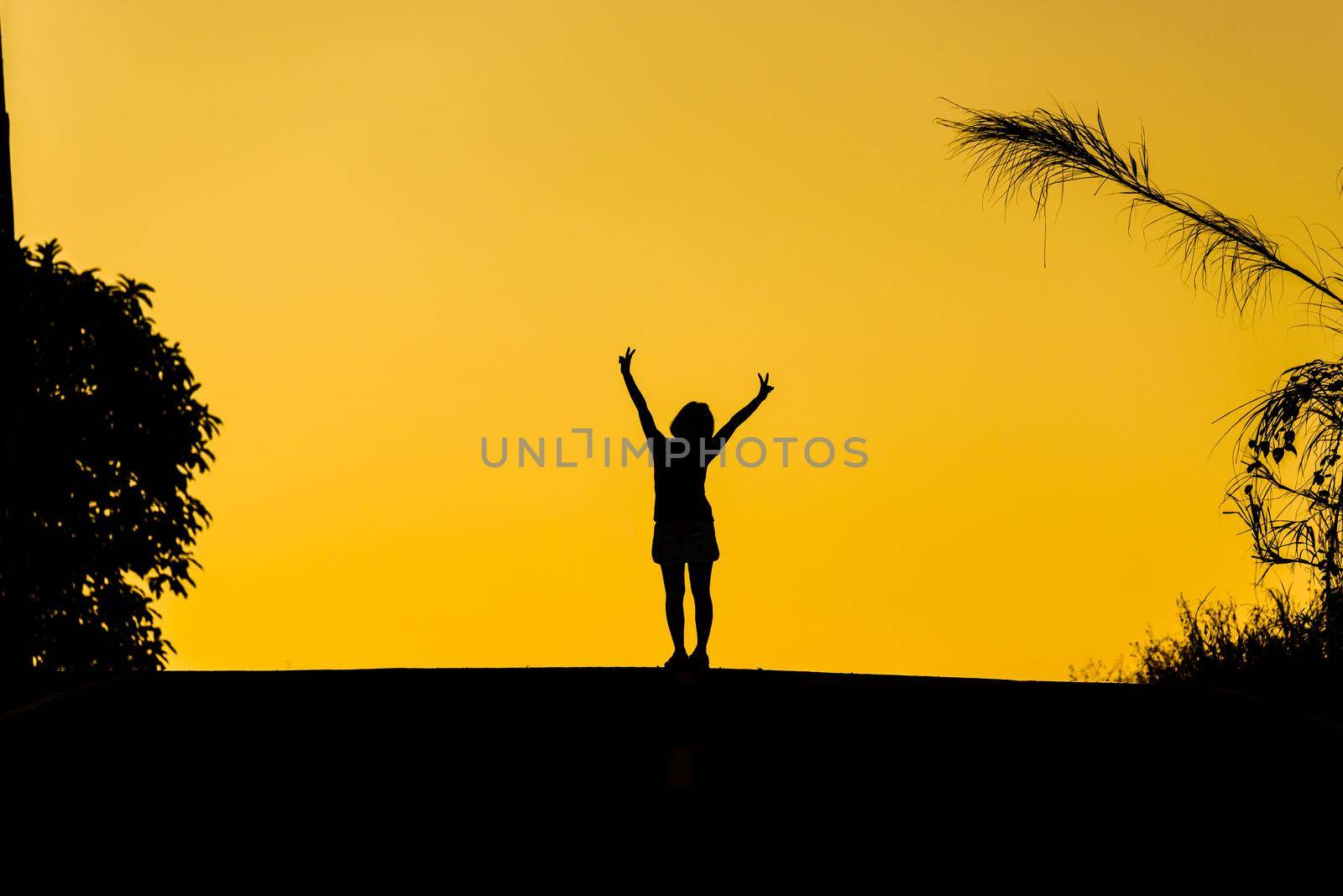 woman or businesswoman silhouette jump happy by Wmpix