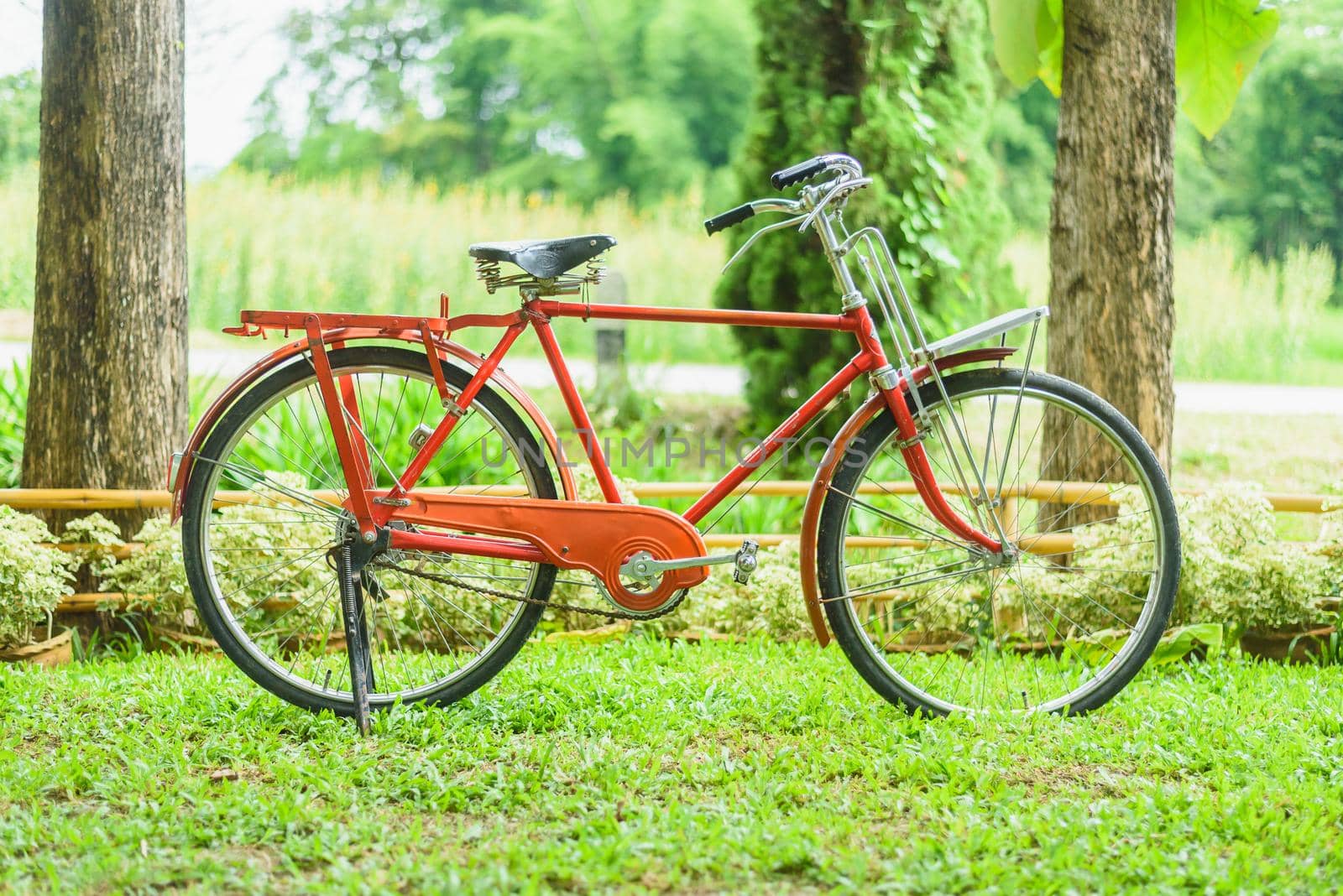 Red old bicycle on green background