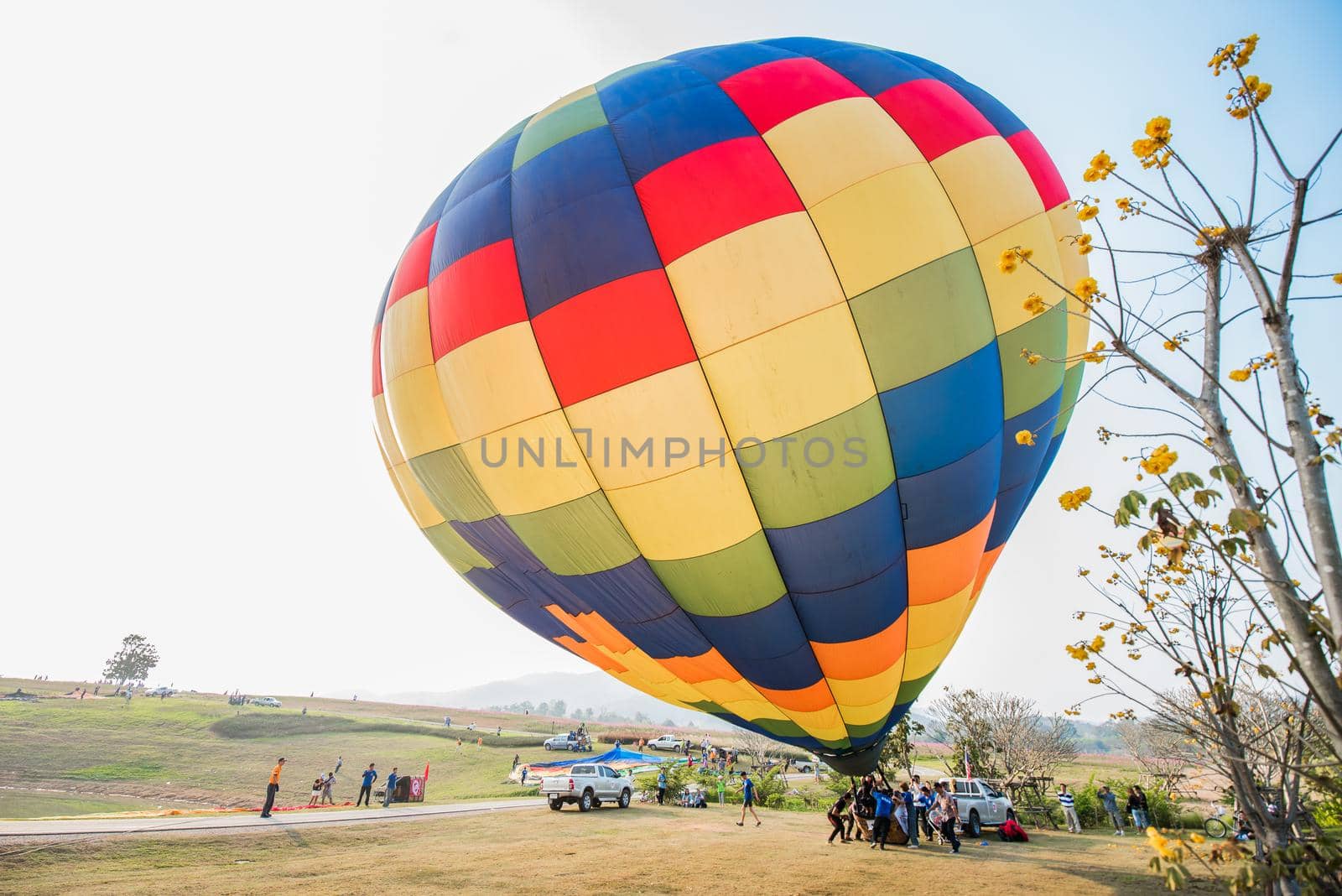 CHIANGRAI, THAILAND - February 13 : International Balloon Fiesta 2016 , February 13 2016 in Singha Park, CHIANGRAI, THAILAND