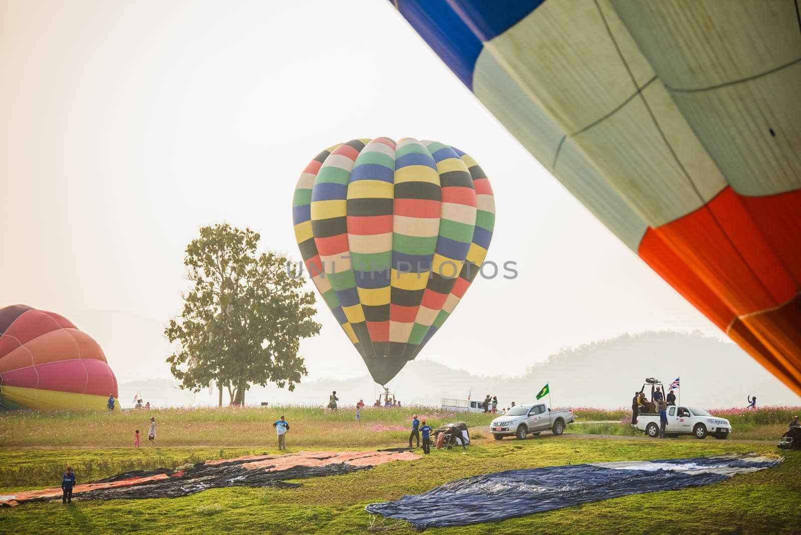 CHIANGRAI, THAILAND - February 13 : International Balloon Fiesta 2016 , February 13 2016 in Singha Park, CHIANGRAI, THAILAND