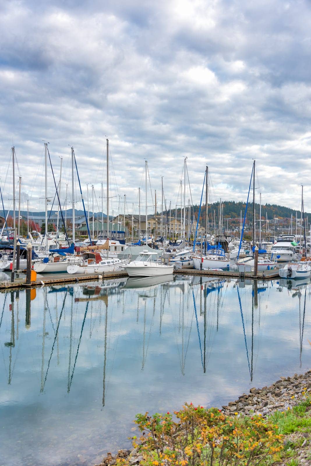 Sailing boats yachts at mooring pier on Pacific ocean. Landscape of marine regatta floating in the harbor