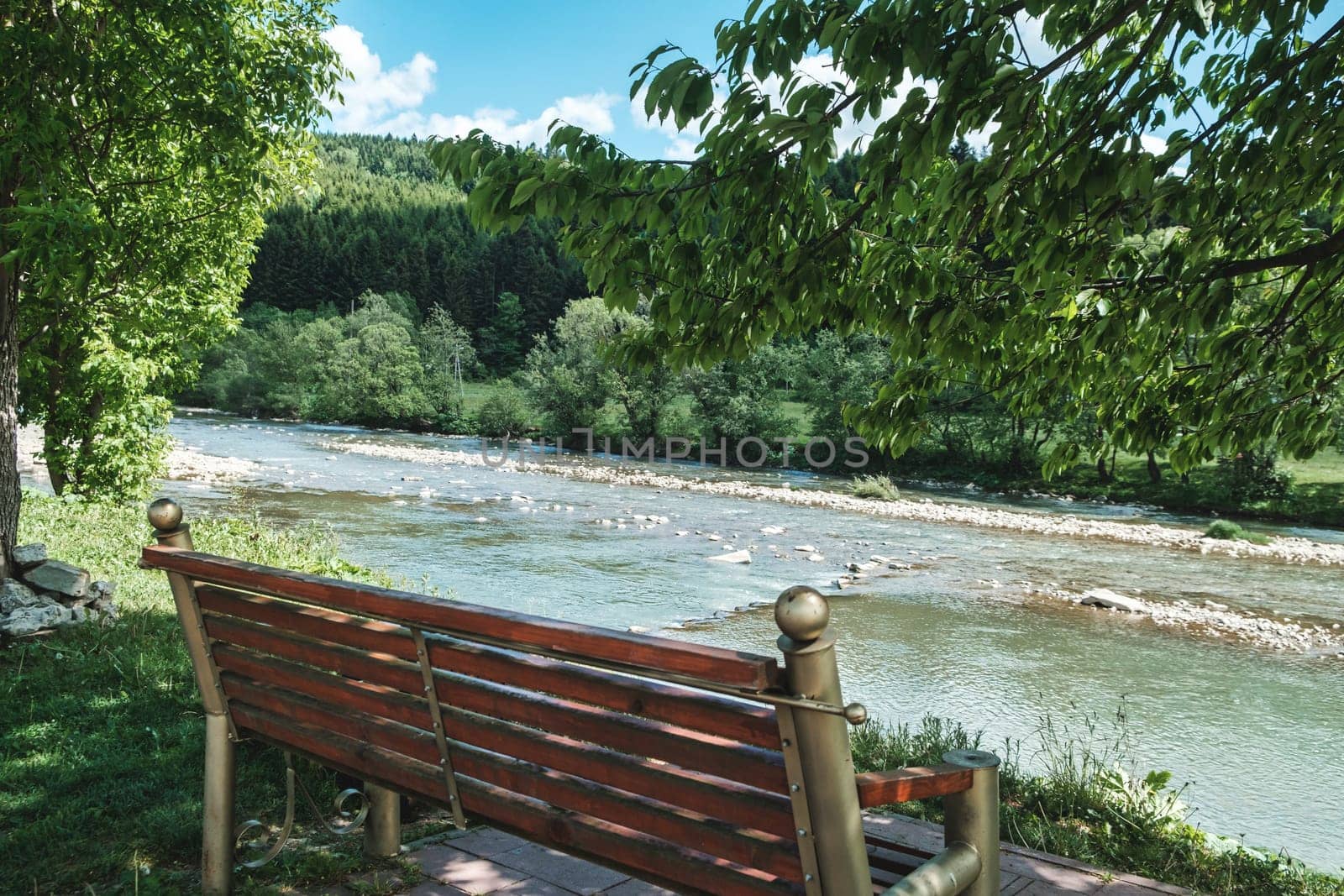 Wooden Benches on the river. Bench in the recreation park, river and forest in the background. download photo