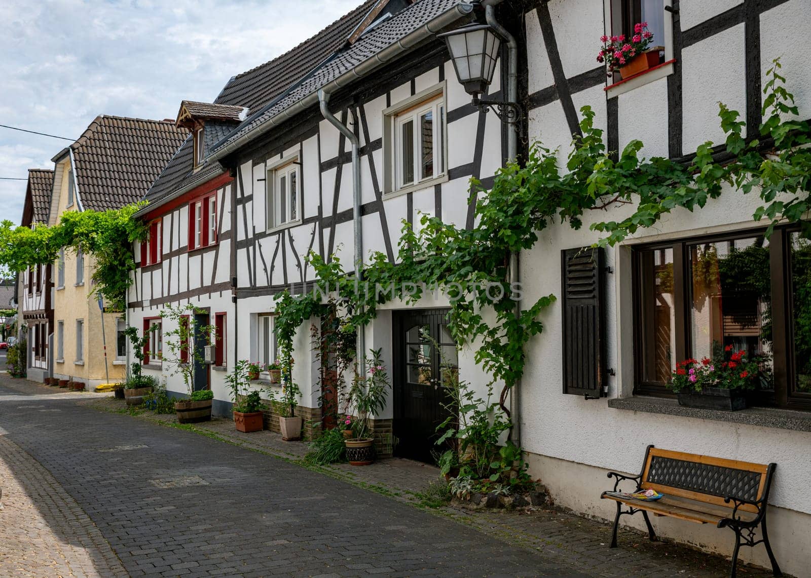 the grape vines grow along the half timbered houses in the town of erpel in germany by compuinfoto