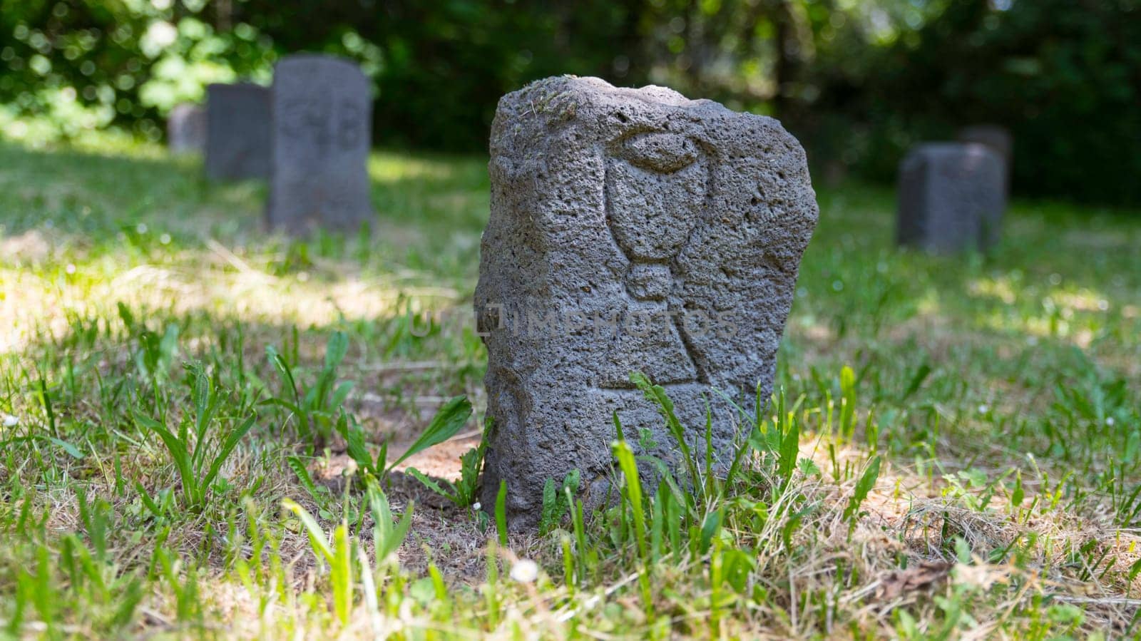 a field with boundary stones used to mark fields and pastures with numbers or symbols to recognize dog owners, usually families