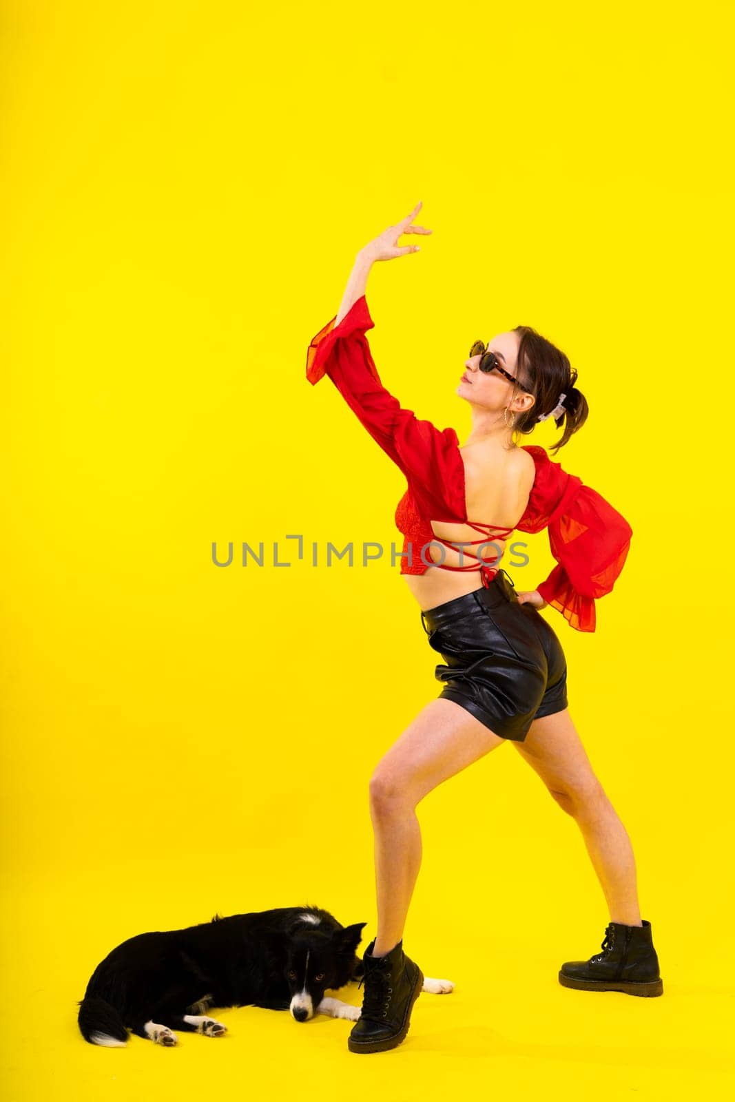 Excited girl dancing with border collie. Studio portrait lady looking at dog with surprised smile. by Zelenin