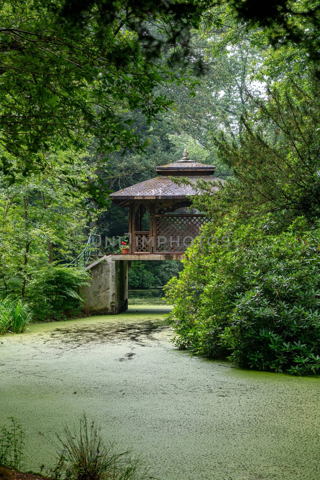 beautiful wooden pagoda in a park with ponds and gardens with green trees and potter flowers here and there