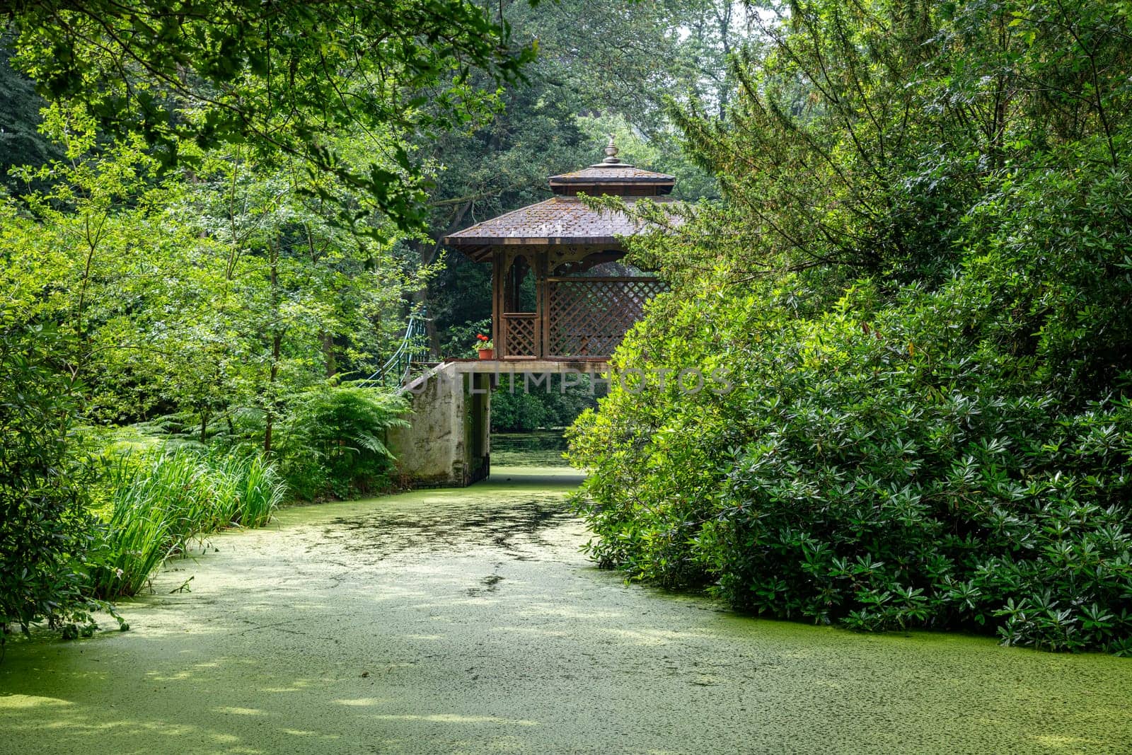 a wooden house in a park on a bridge above the water in a green landscape by compuinfoto