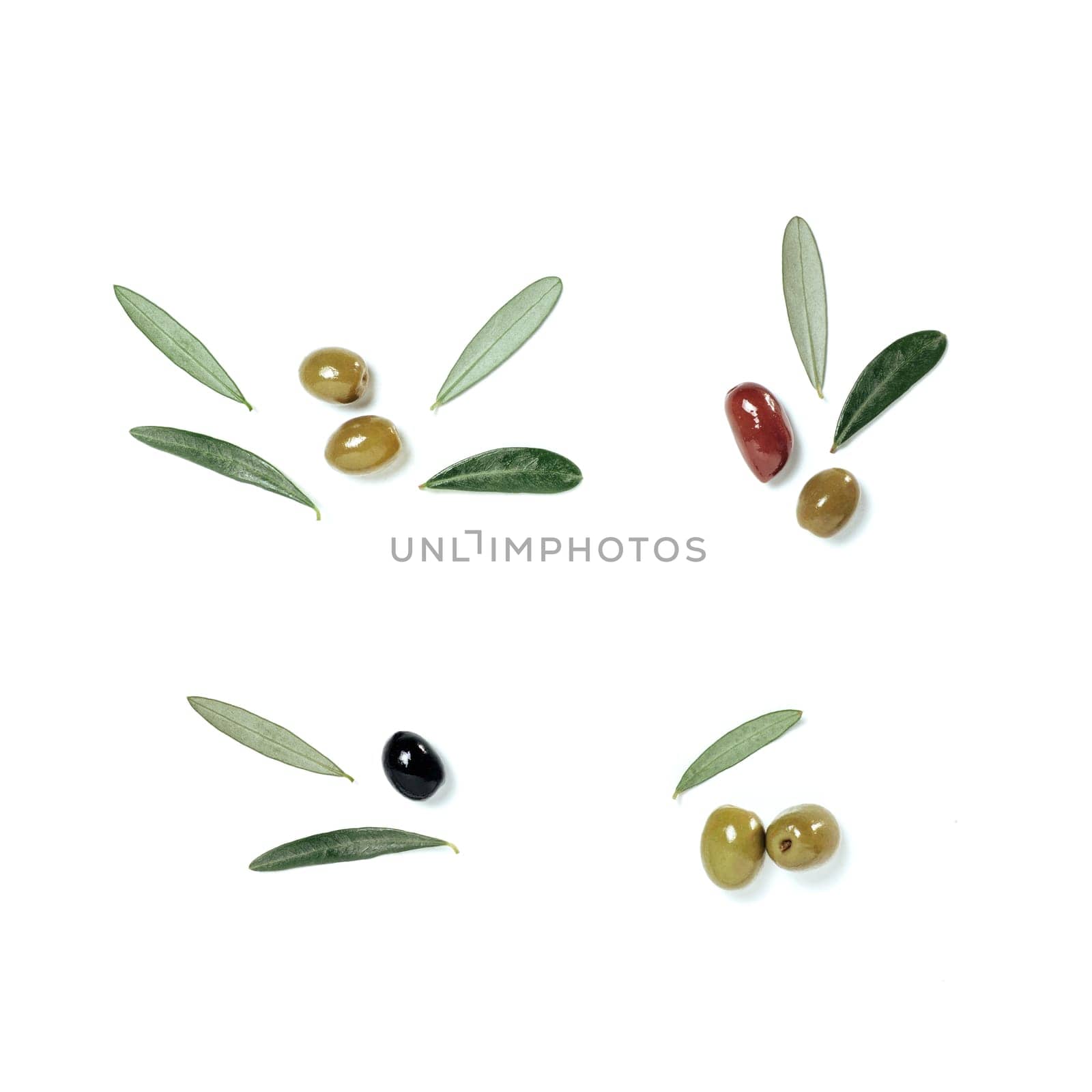 Olives tree leaves and fruits in creative layout composition on white background. Top view or flat lay. Olives branches set isolated on white with copy space