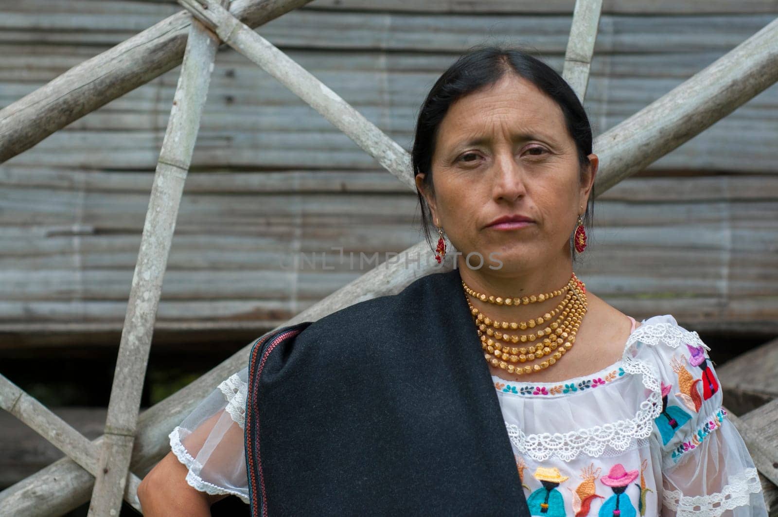 indigenous woman portrait copyspace in her native community log house. High quality photo