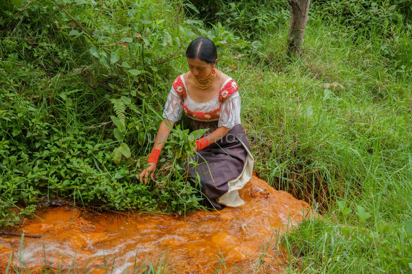 indigenous woman collecting medicinal plants next to a river of volcanic water in the jungle. High quality photo