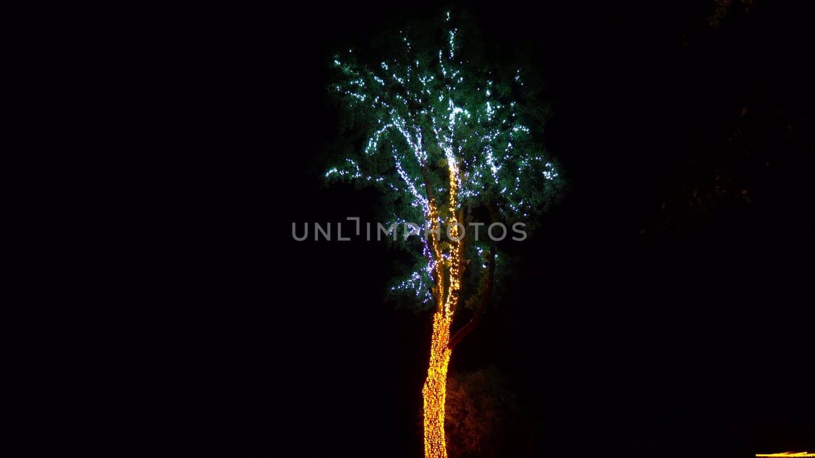 A tree in garlands glows at night. A tree near the shore decorated with light bulb decorations. 4k