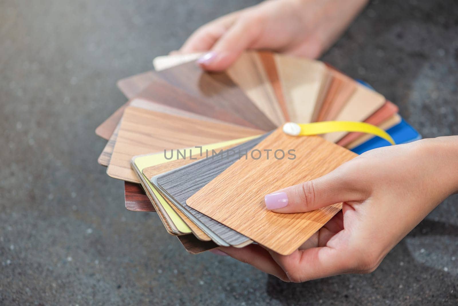 Samples of laminate imitating wood. Woman designer chooses samples of laminate flooring. Floor samples in hands close-up. High quality photo