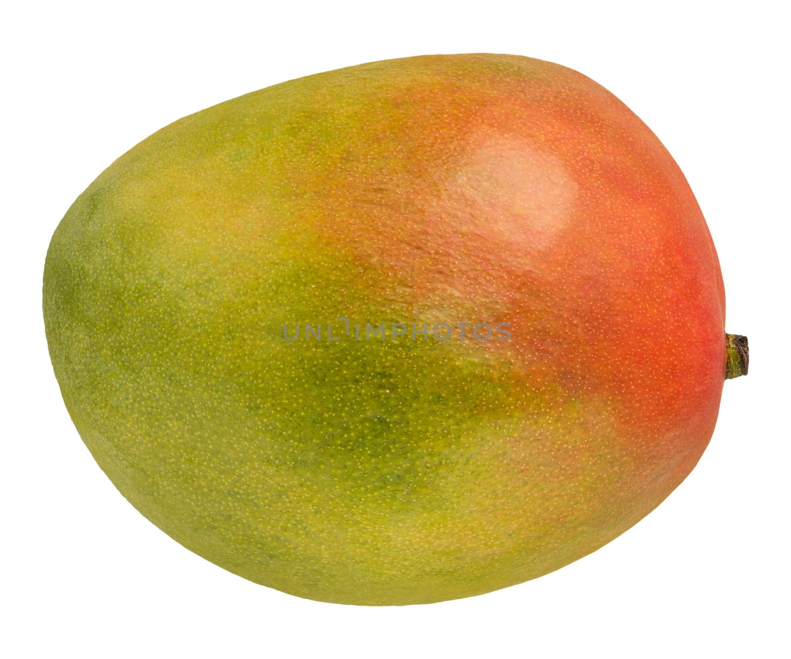 Ripe mango on a white isolated background. A ripe, fresh and whole mango on a white background. High quality photo. by SERSOL