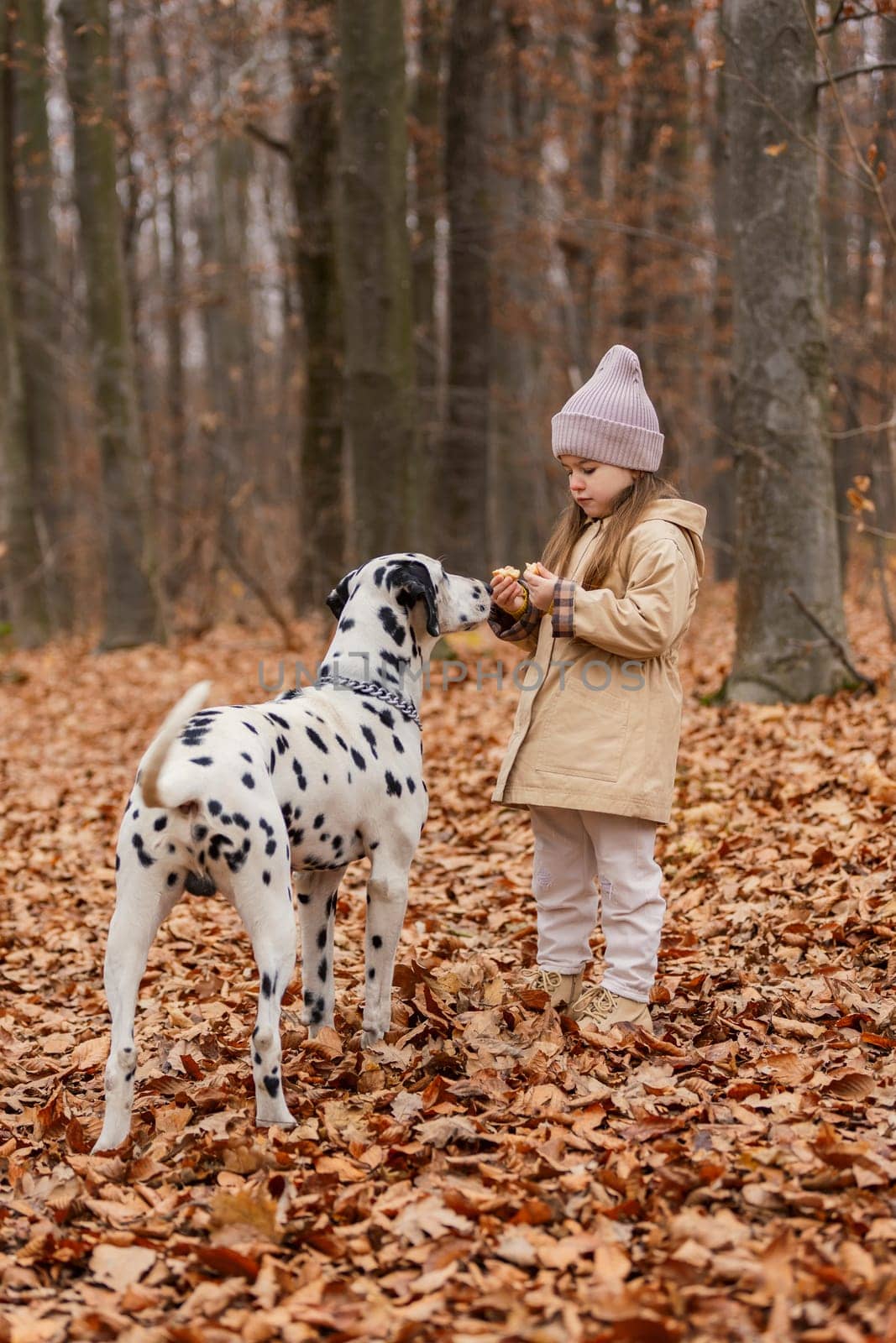little girl with dog in autumn forest