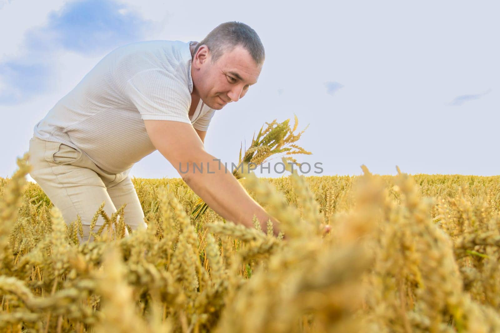 A man harvests a grain crop and walks carefree and fun in a field with wheat. It's time to harvest. The food crisis in the world. A field for harvesting bread.