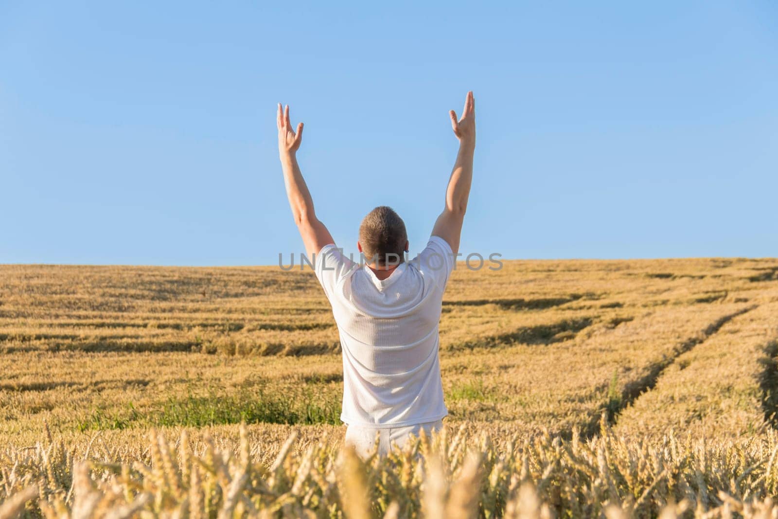 A man in a white T-shirt has raised his hands high to the sky and is harvesting grain and walking carelessly and cheerfully through a field with wheat. The food crisis in the world