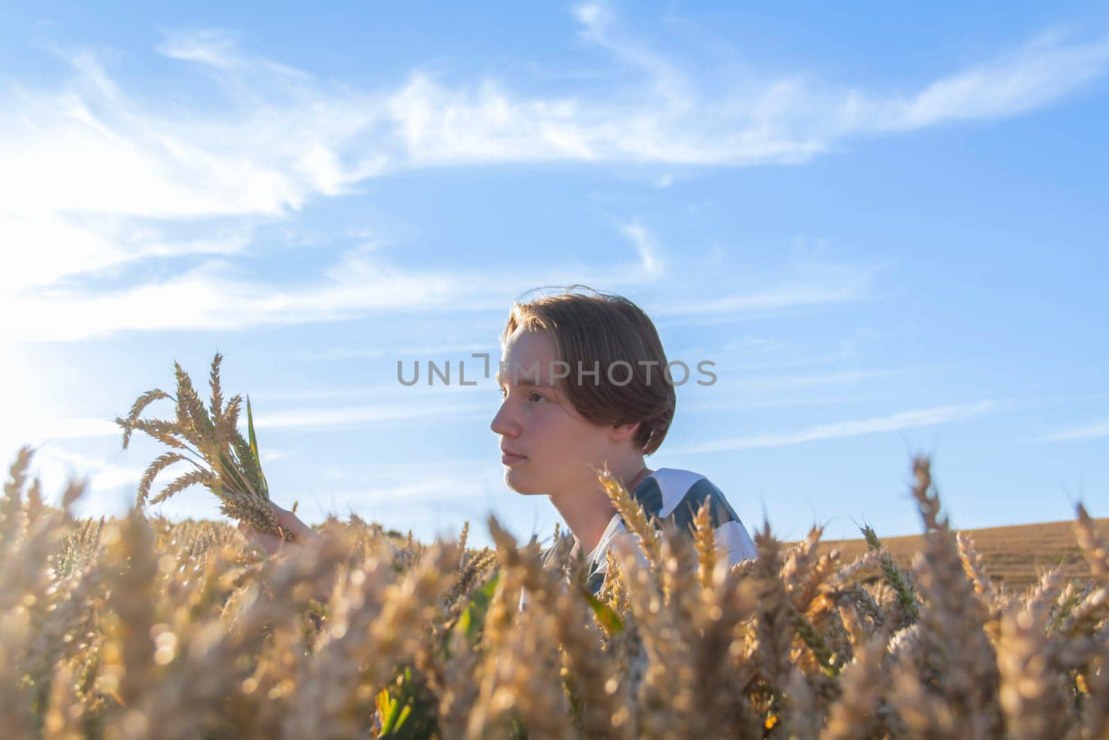 A young guy, a teenager with ears of ripe wheat in a farmer's field, against a blue sky. Grain for making bread. the concept of economic crisis and hunger