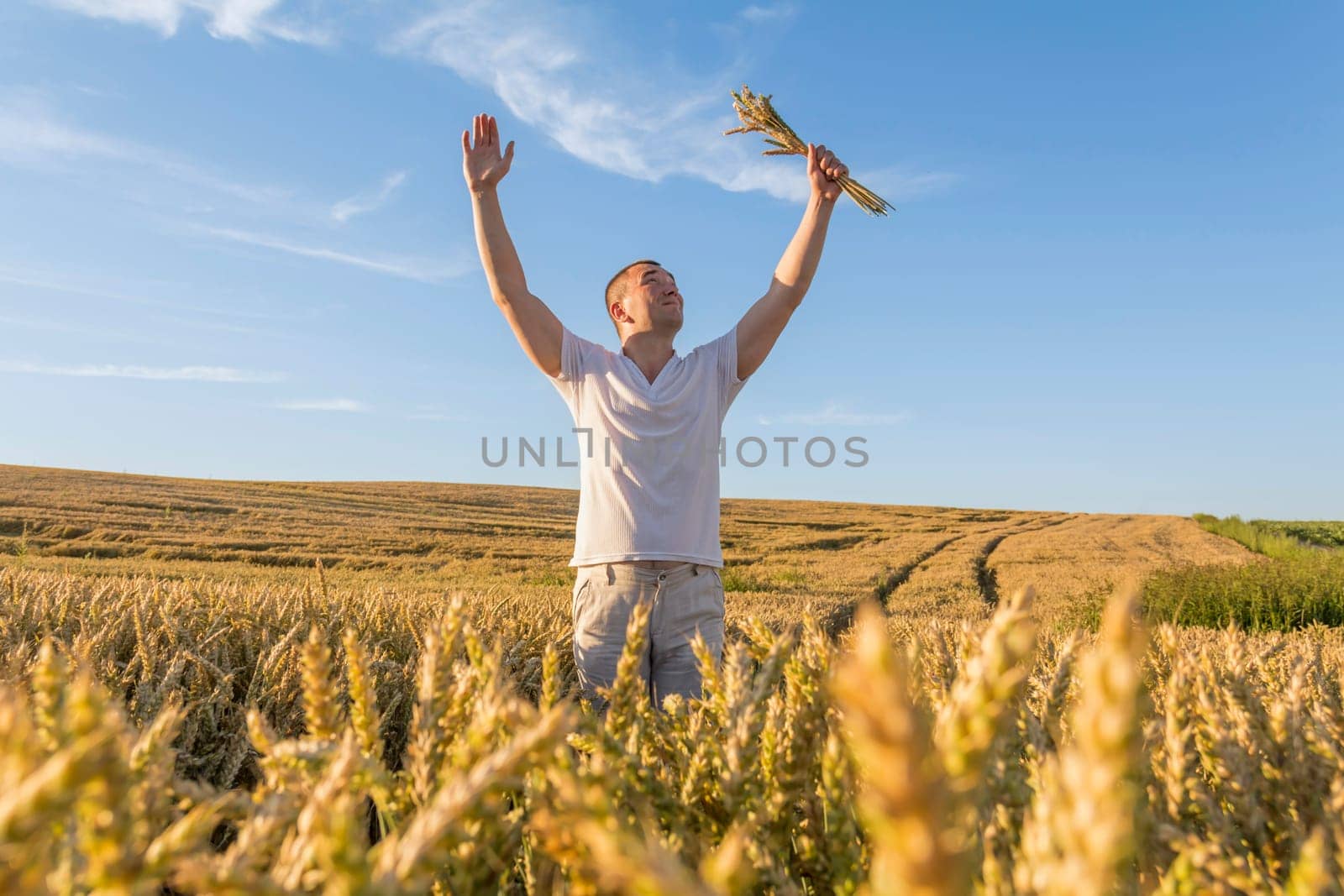 A man in a white T-shirt has raised his hands high to the sky and is harvesting grain and walking carelessly and cheerfully through a field with wheat. The food crisis in the world. by Alla_Yurtayeva
