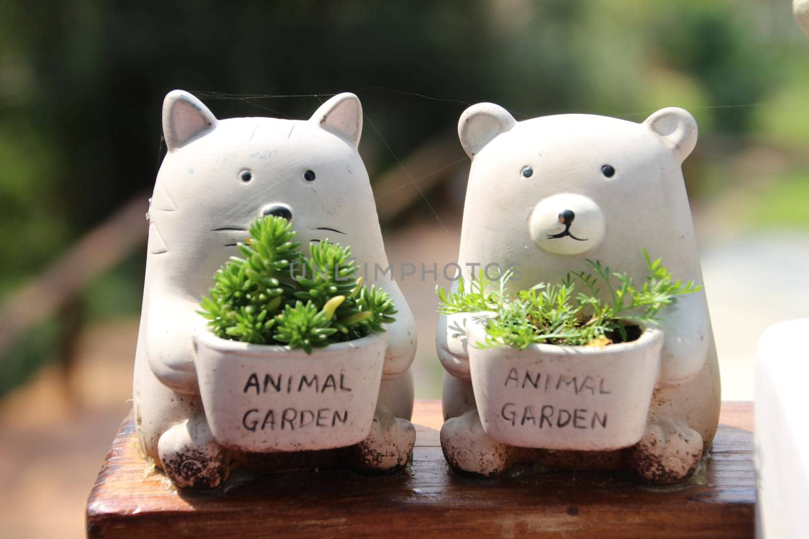 Two white bears holding potted plants with lush greenery