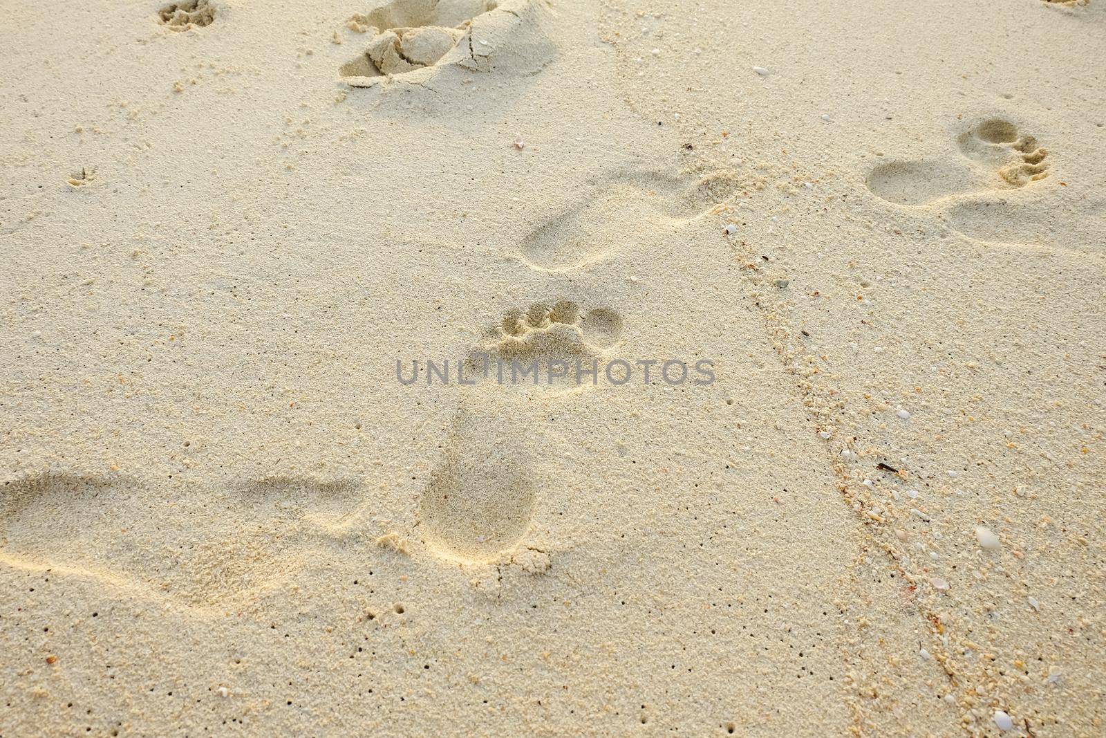 Footprints in wet sand close to sea in sunny day
