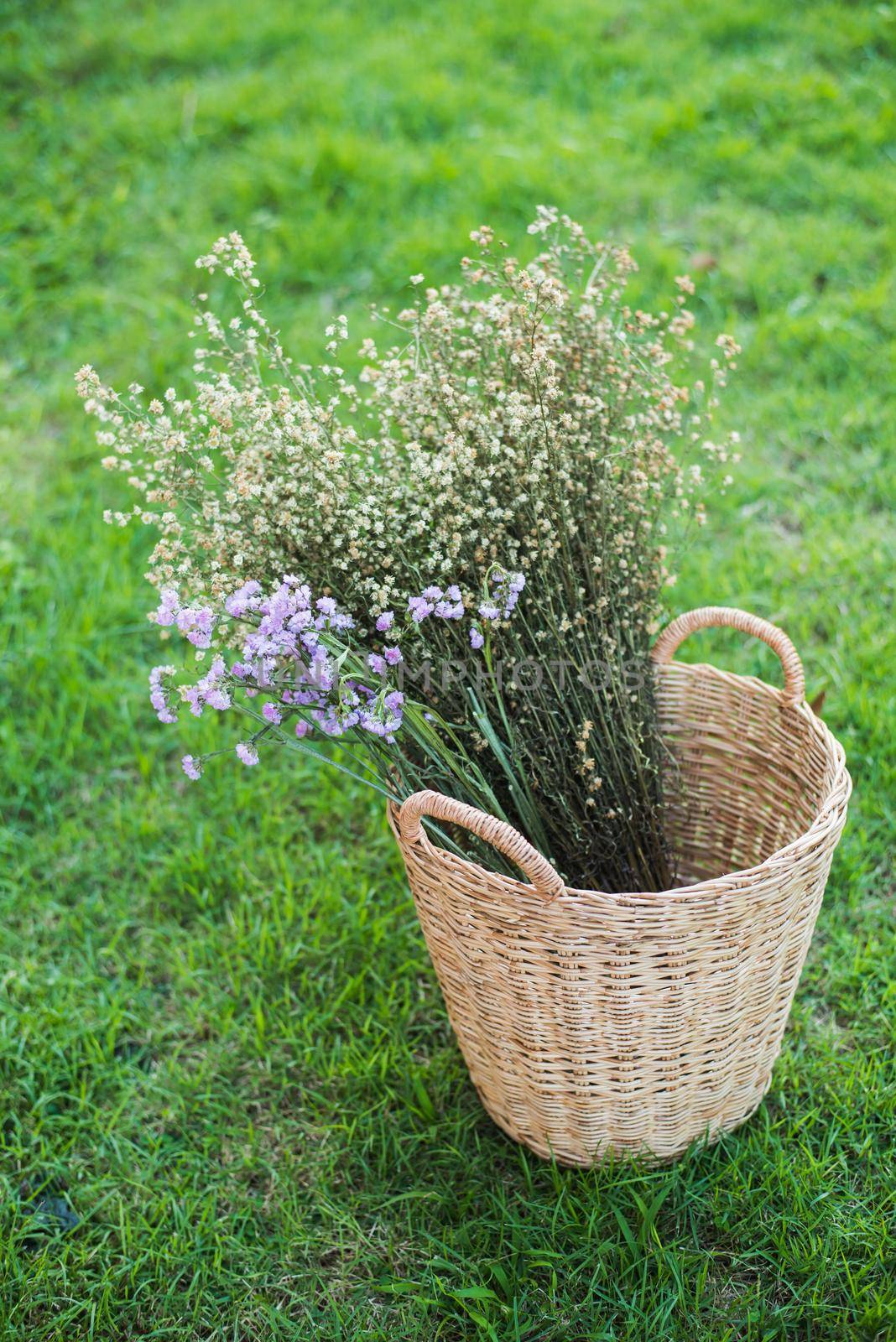 basket flowers by Wmpix