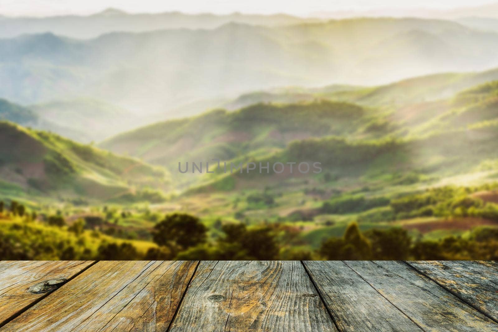 Wood brown Background Texture