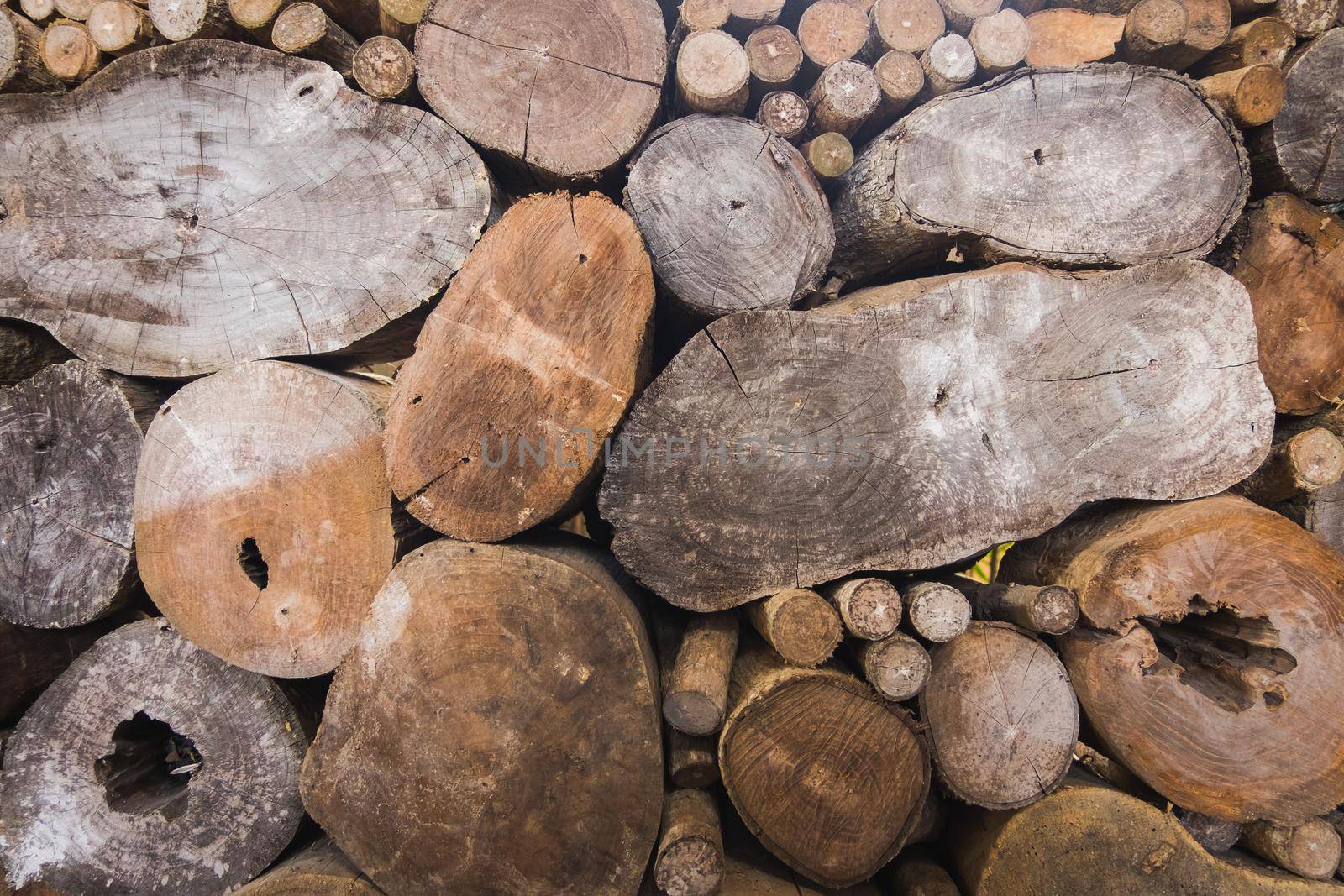 Firewood texture background by Wmpix