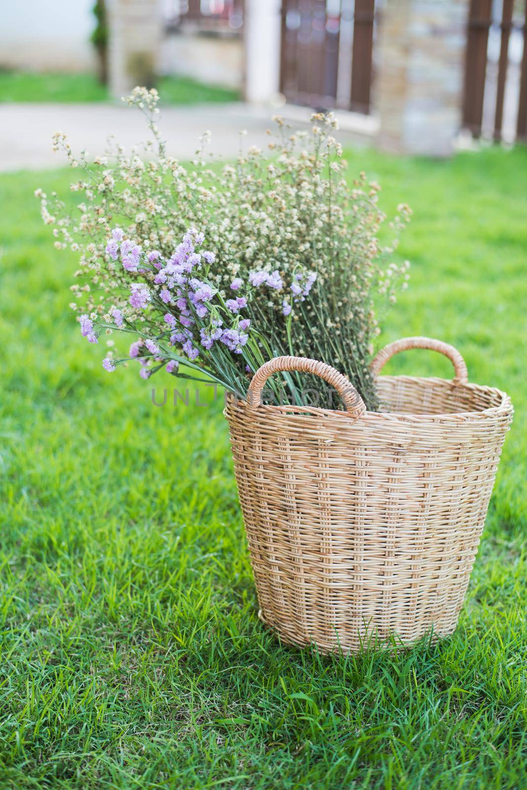 basket flowers by Wmpix