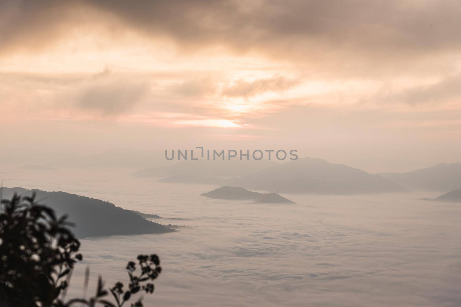 fog and cloud mountain valley landscape by Wmpix