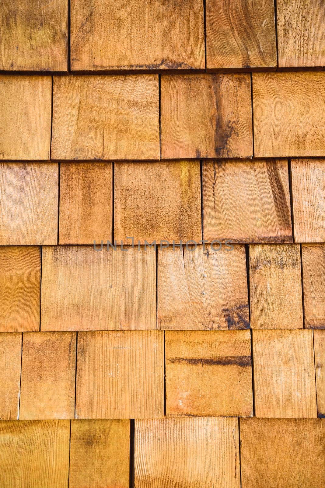 Wood texture, wooden background