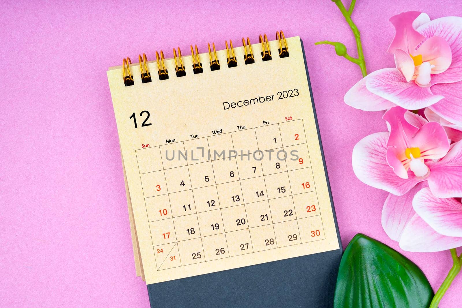 December 2023 calendar desk and pink orchid on pink background.