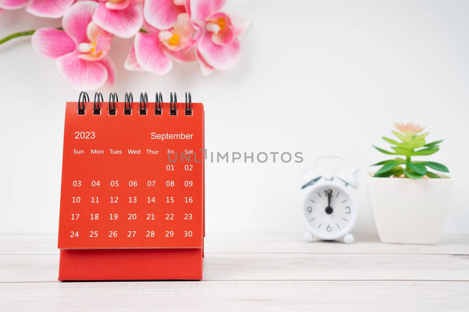 The Red calendar September 2023. Desk calendar for year 2023 and pink color orchid. by Gamjai