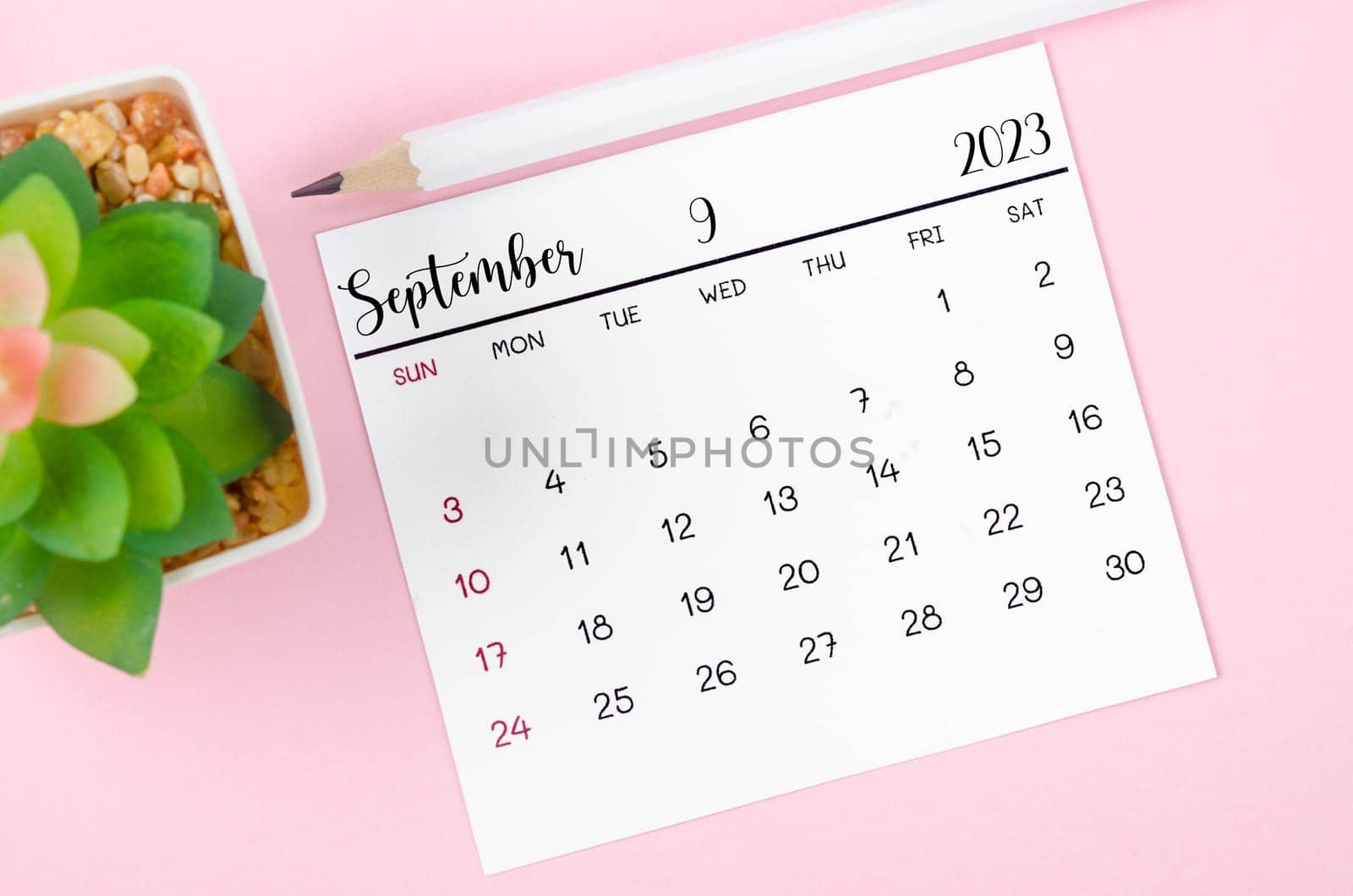 September 2023 Monthly calendar for 2023 year on pink background.