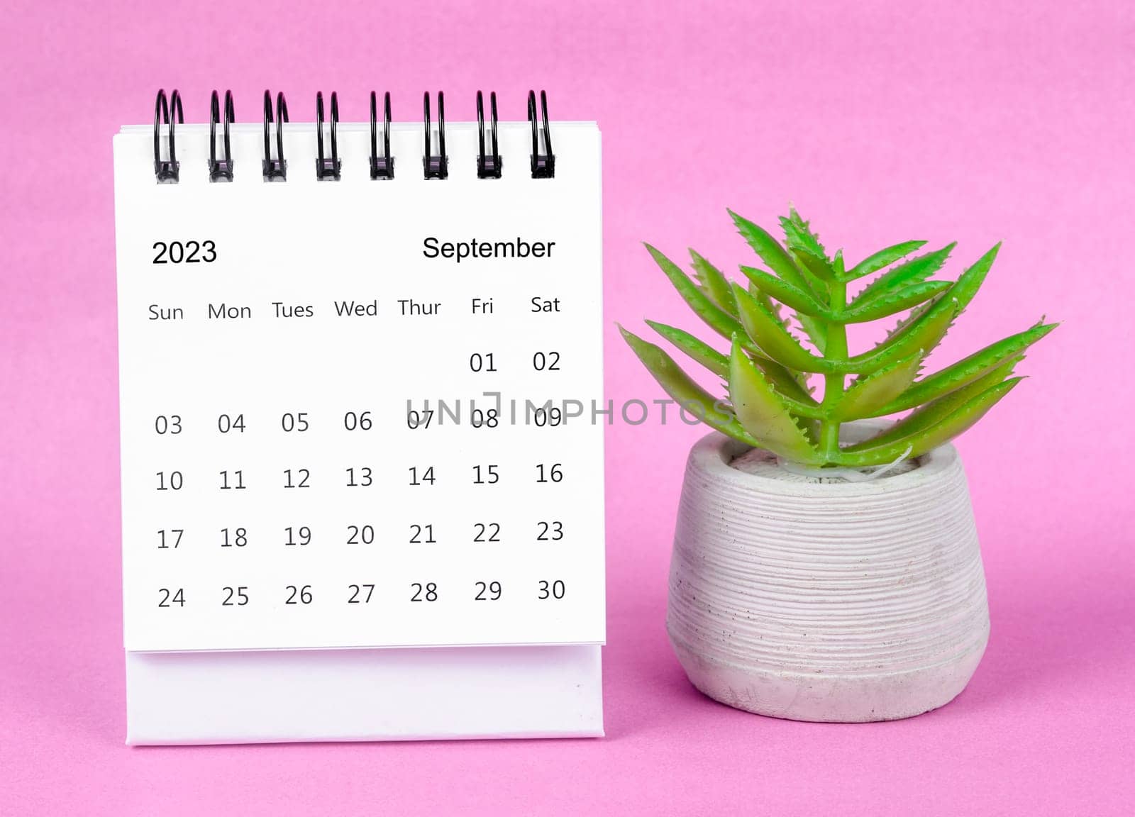 The September 2023 Monthly desk calendar for 2023 year with plant pot on pink background. by Gamjai