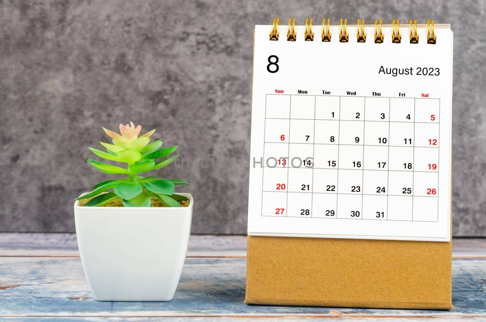 The August 2023 Monthly desk calendar for 2023 year with plant pot. by Gamjai