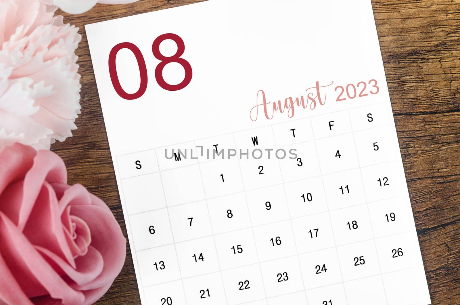 A August 2023 Monthly calendar for 2023 year with pink rose on wooden background. by Gamjai