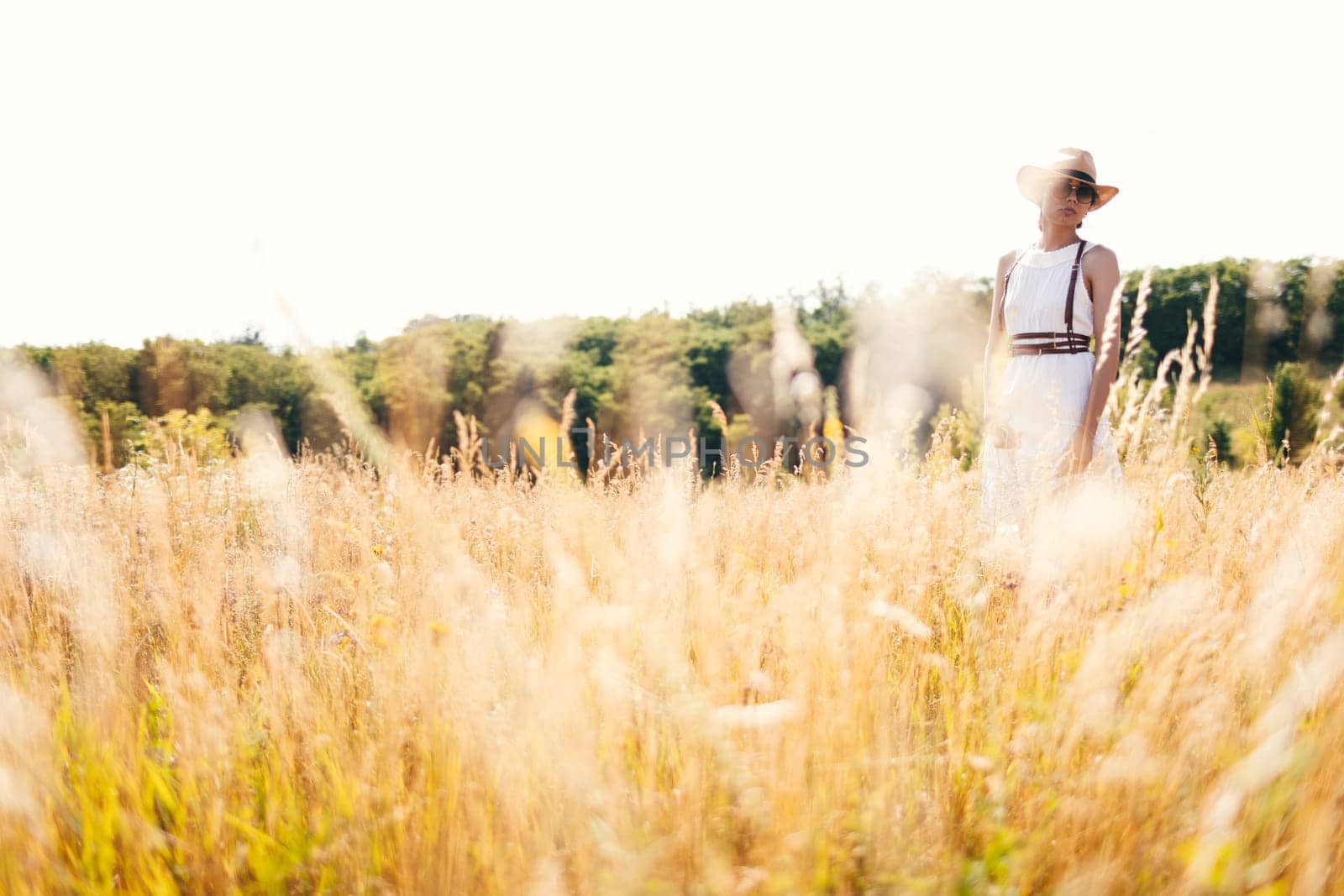 Beautiful girl in a linen dress in a wheat field. by sarymsakov