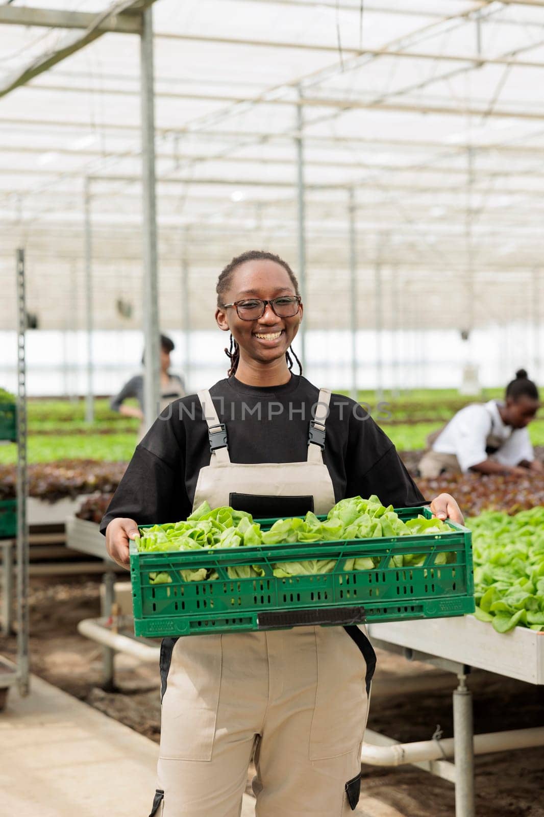 Happy smiling woman holding crate full of certified natural locally harvested healthy organic nutrient source green lettuce. Eco friendly sustainable greenhouse with negative co2 footprint